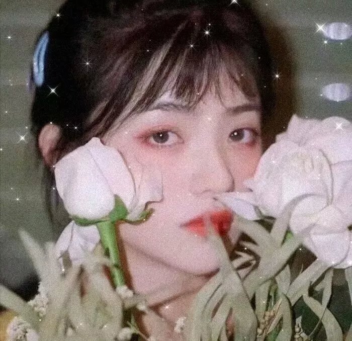 西科克斯七人组的归来
